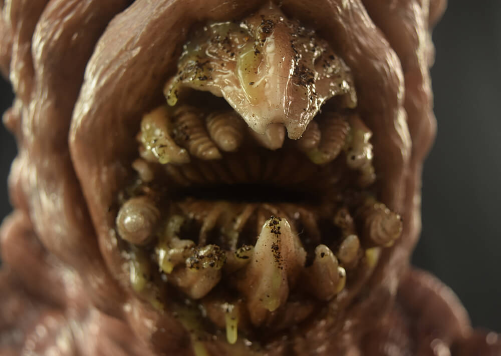larva_mask_pale_05.jpg