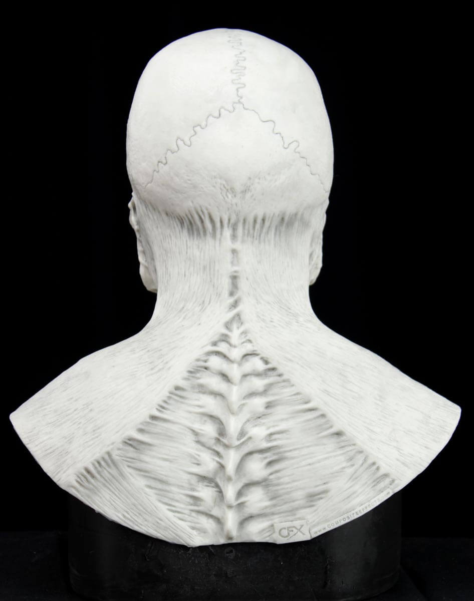 muertos_sugar_skull_male_04.jpg