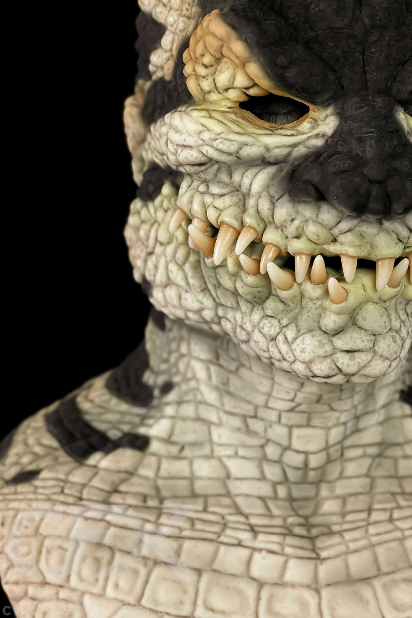 Bayou-Brutus-Gator-12.jpg