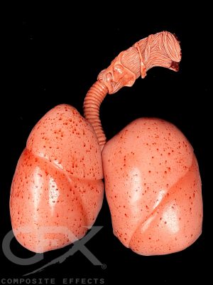 Sil-Gib-Lungs-1.jpg https://rhinowebllc.com/cfx-masks2/wp-content/uploads/2024/08/Sil-Gib-Lungs-1-300x400.jpg