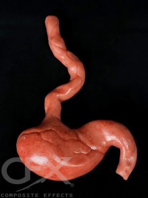 https://rhinowebllc.com/cfx-masks2/wp-content/uploads/2024/08/Sil-Gib-Stomach-1-300x400.jpg