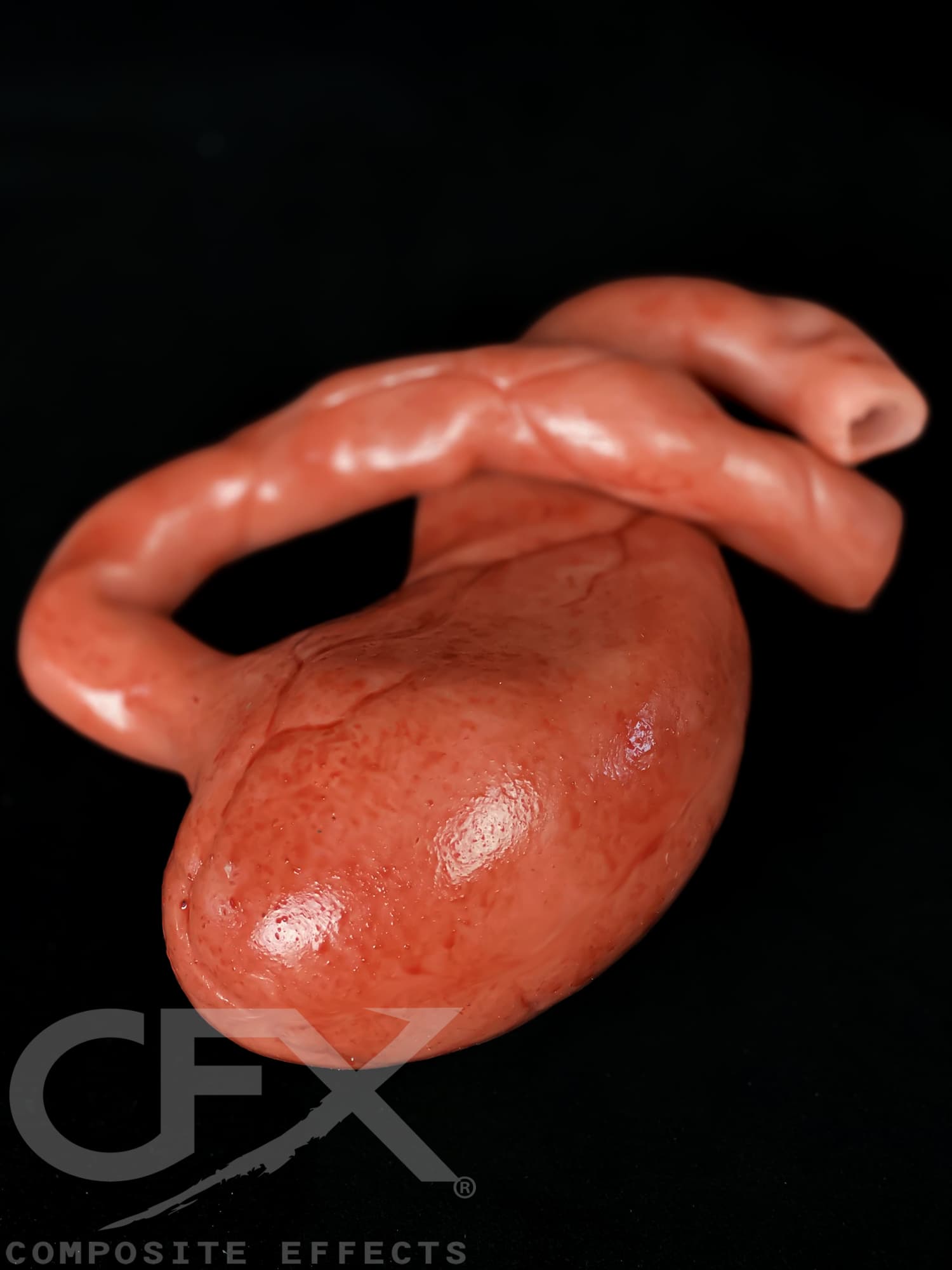 Sil-Gib-Stomach-3.jpg