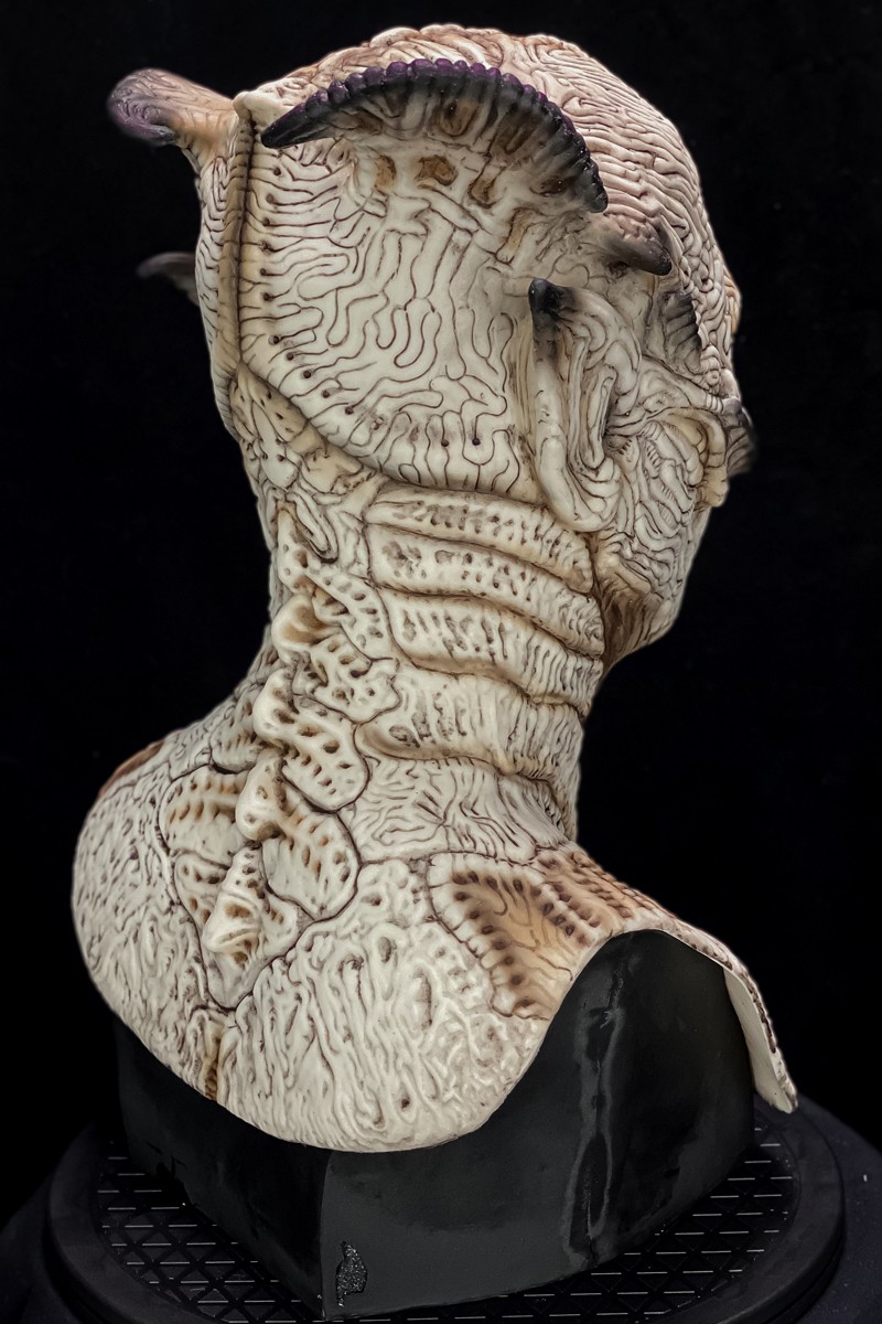 Sovereign-Bone-3.jpg