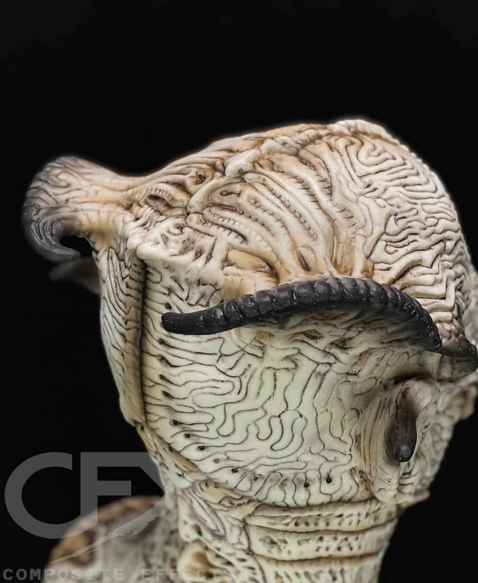 Sovereign-Bone-7.jpg