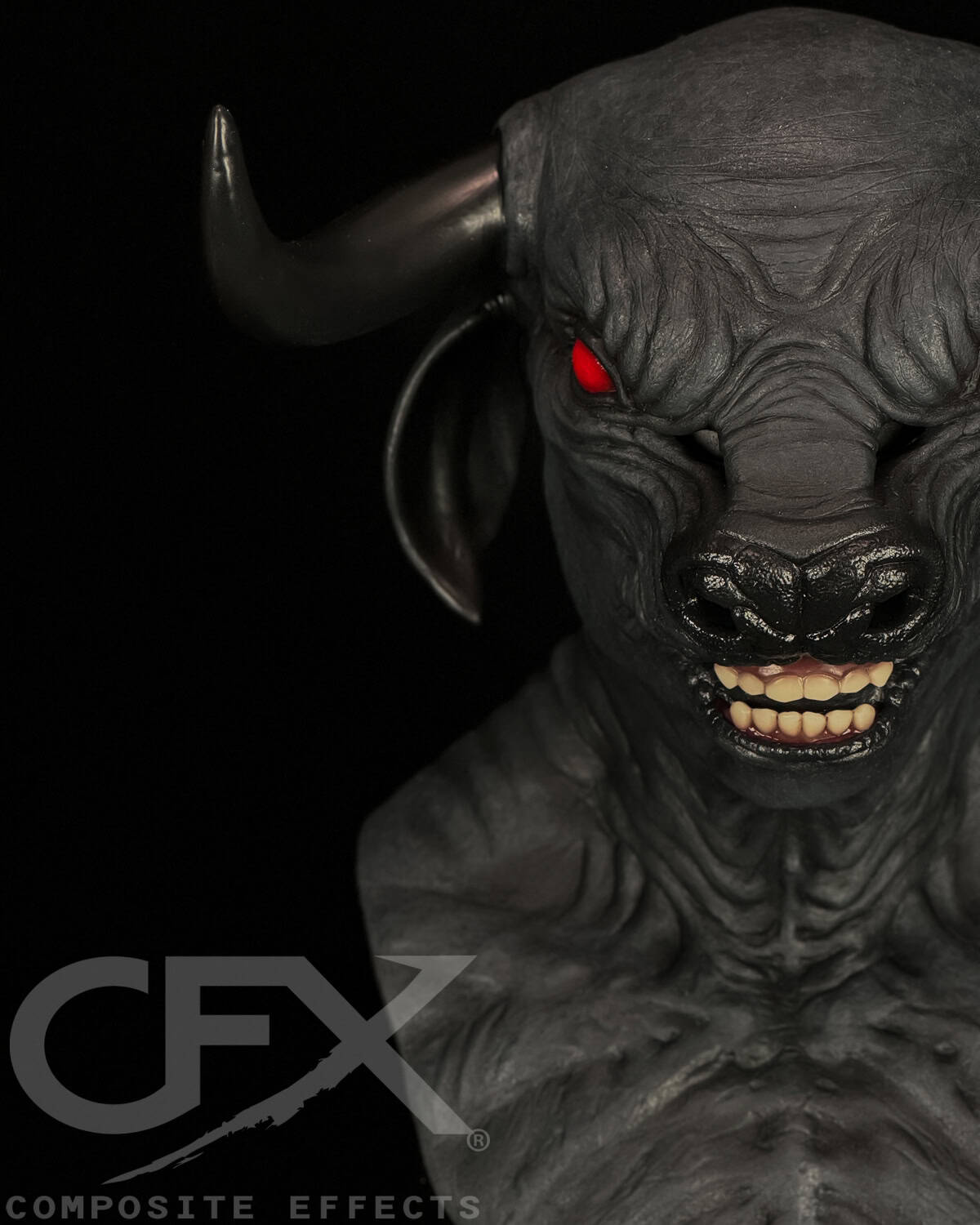 Taurus-Black-Bull-6.jpg