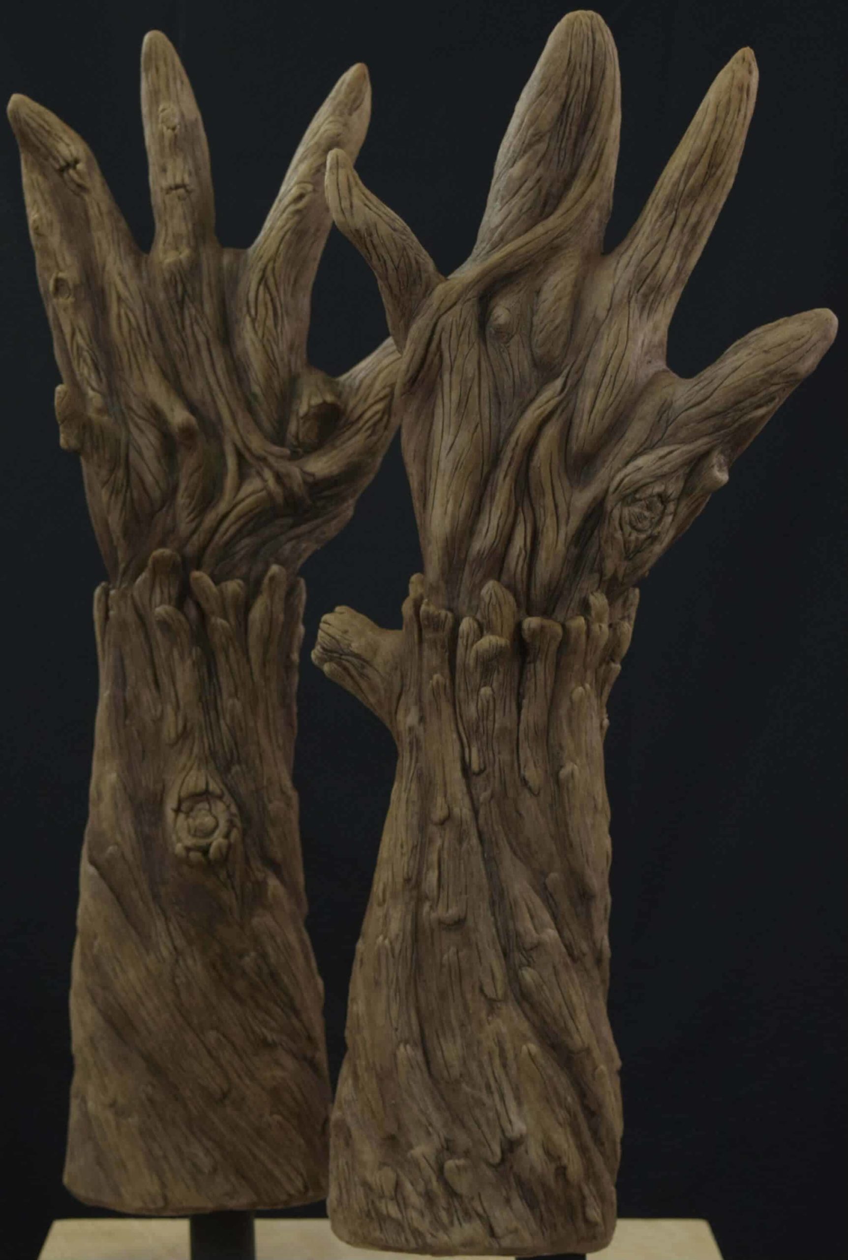 plant_gloves_bark_01-scaled-1.jpg
