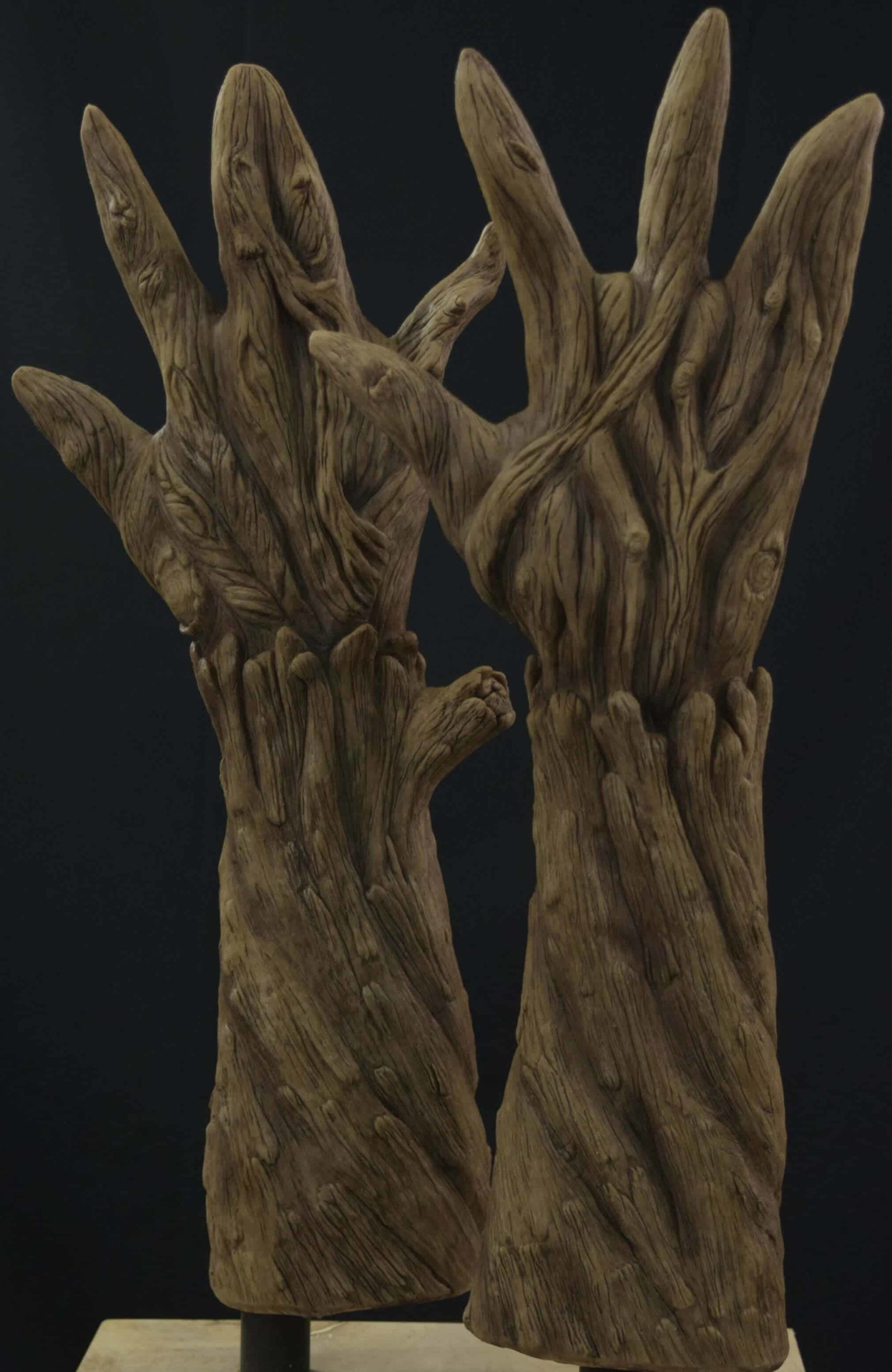 plant_gloves_bark_02-scaled-1.jpg