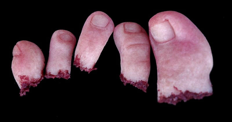 sp_toes_01.jpg