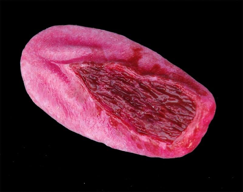 sp_tongue_02.jpg