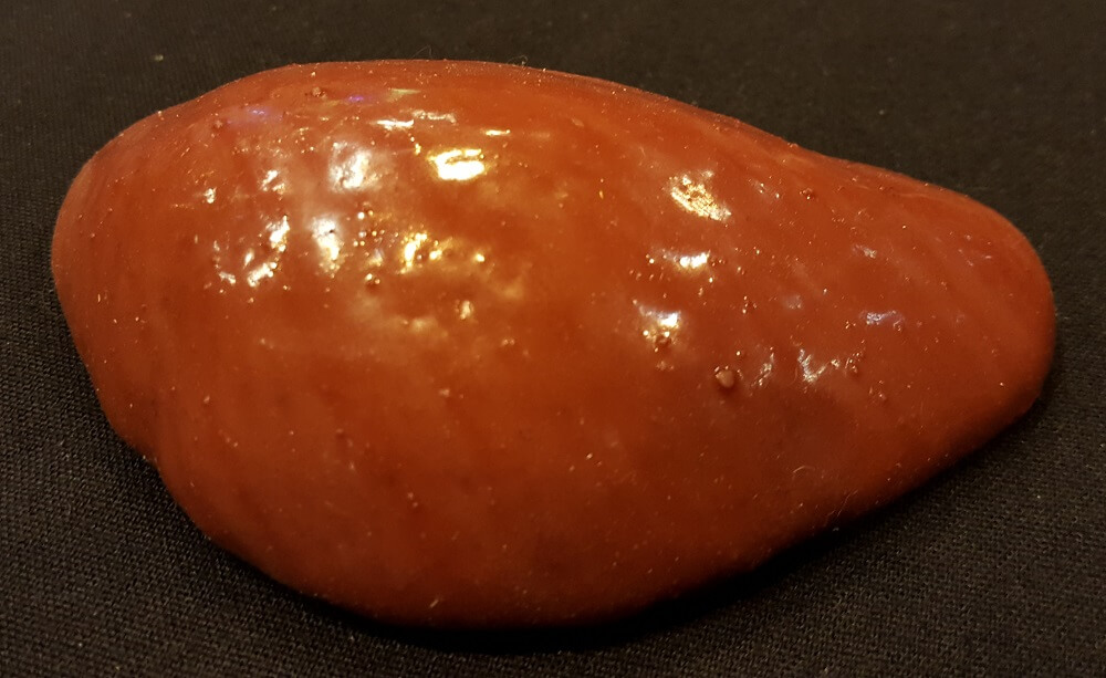 spleen.jpg