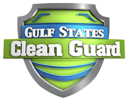https://rhinowebllc.com/clean-guard/wp-content/uploads/2025/09/logo-footer.png