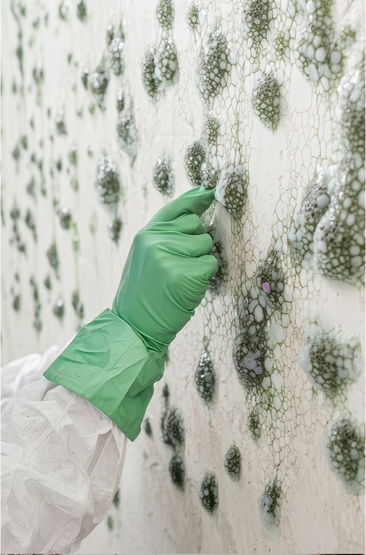 mold-img2 https://rhinowebllc.com/clean-guard/wp-content/uploads/2025/09/mold-img2.jpg