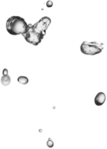 https://rhinowebllc.com/coastaltruckdriving/wp-content/uploads/2021/10/img-bubbles-2.png