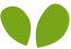 https://rhinowebllc.com/cushings-creole-seasoning/wp-content/uploads/2022/04/green_leaf.png