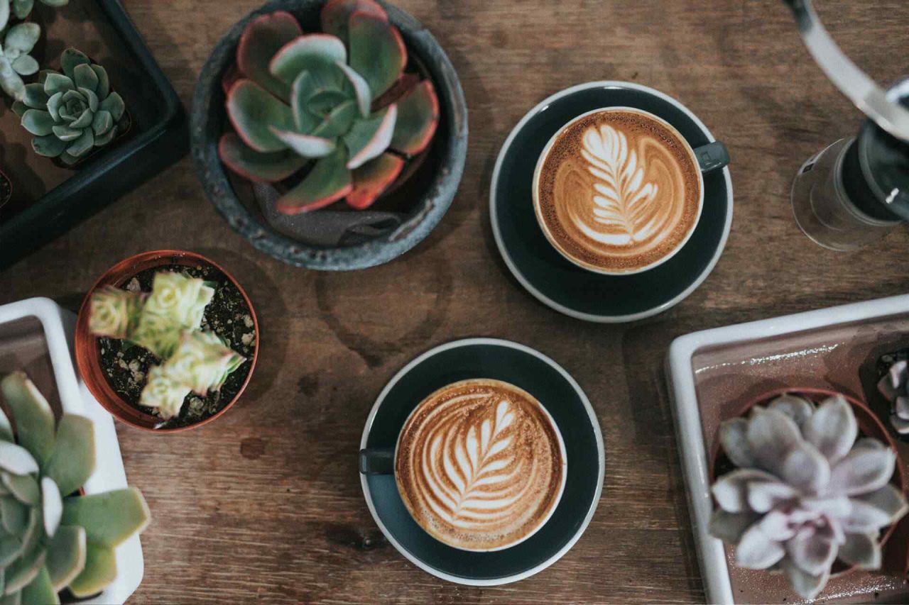 Mastering the Art of the Perfect Pour