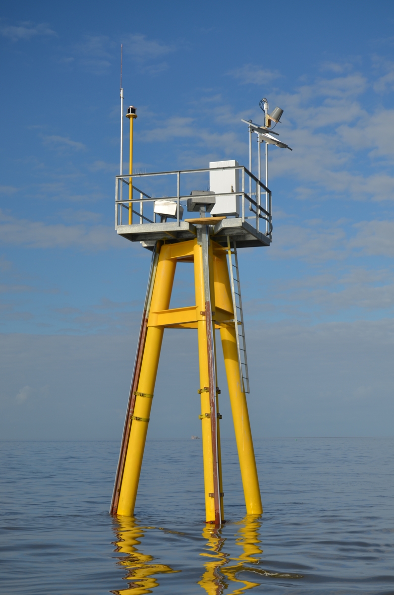 data-collection-img01 https://rhinowebllc.com/encos-inc/wp-content/uploads/2025/08/data-collection-img01.jpg