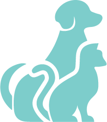 https://rhinowebllc.com/eye-wander/wp-content/uploads/2024/10/Asset-3-1.png