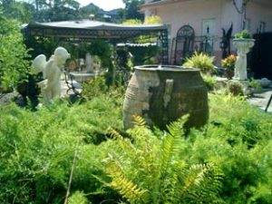 Antique olive jars