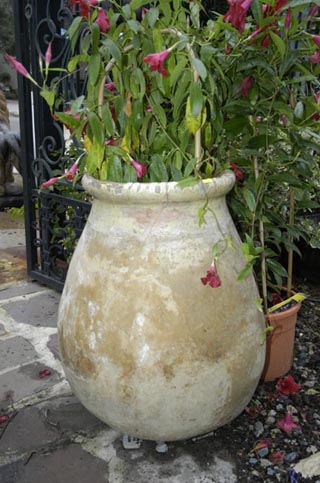 French antique pot