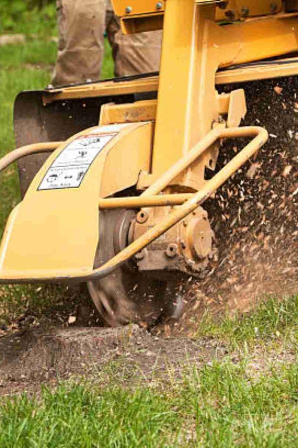 Gardner Tree Service - Stump Grinding