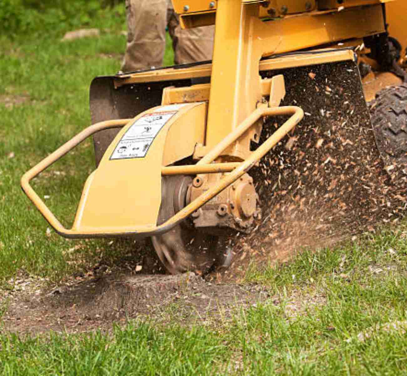 Gardner Tree Service - Stump Grinding