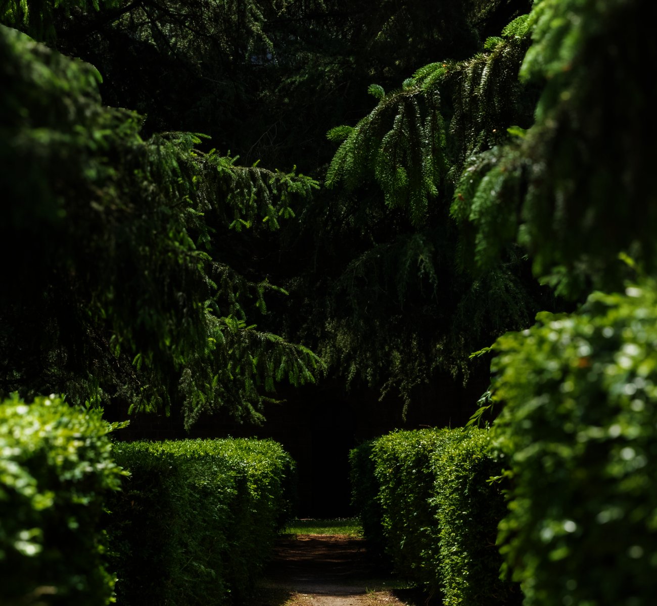 hedges-and-topiary https://rhinowebllc.com/gardener-tree-services/wp-content/uploads/2025/06/hedges-and-topiary.jpg