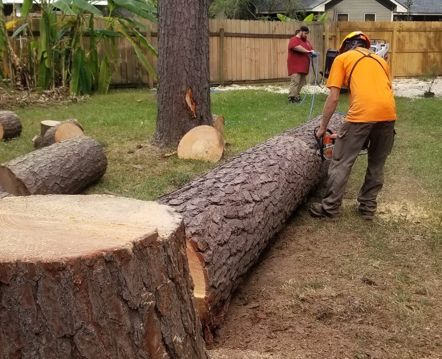 https://rhinowebllc.com/gardener-tree-services/wp-content/uploads/2025/06/home3.png