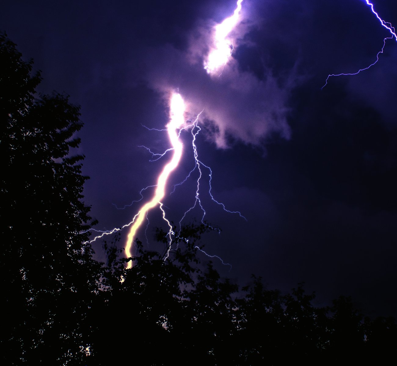 https://rhinowebllc.com/gardener-tree-services/wp-content/uploads/2025/06/lightning-protection.jpg