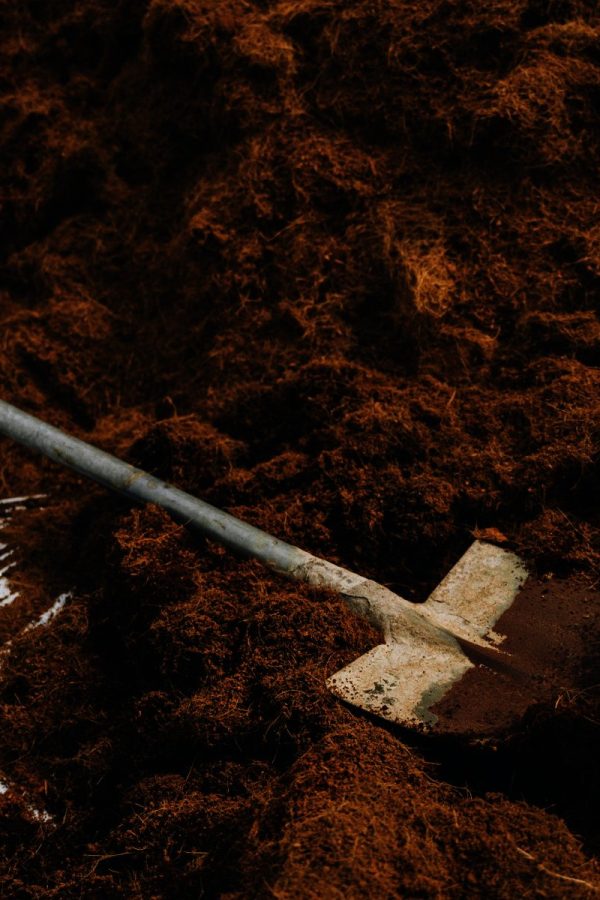 https://rhinowebllc.com/gardener-tree-services/wp-content/uploads/2025/06/mulch-spreading-delivery-600x900.jpg