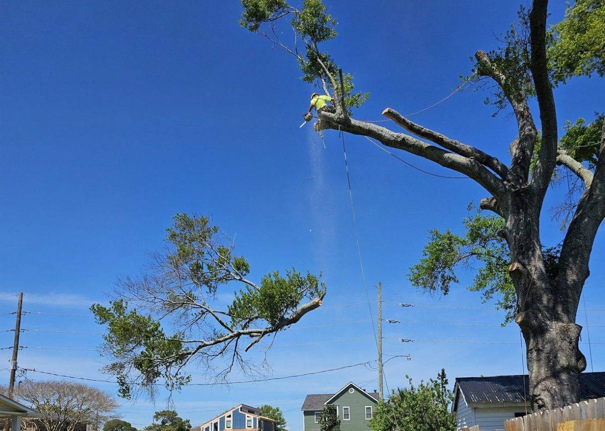 Great day to clean the neighborhood