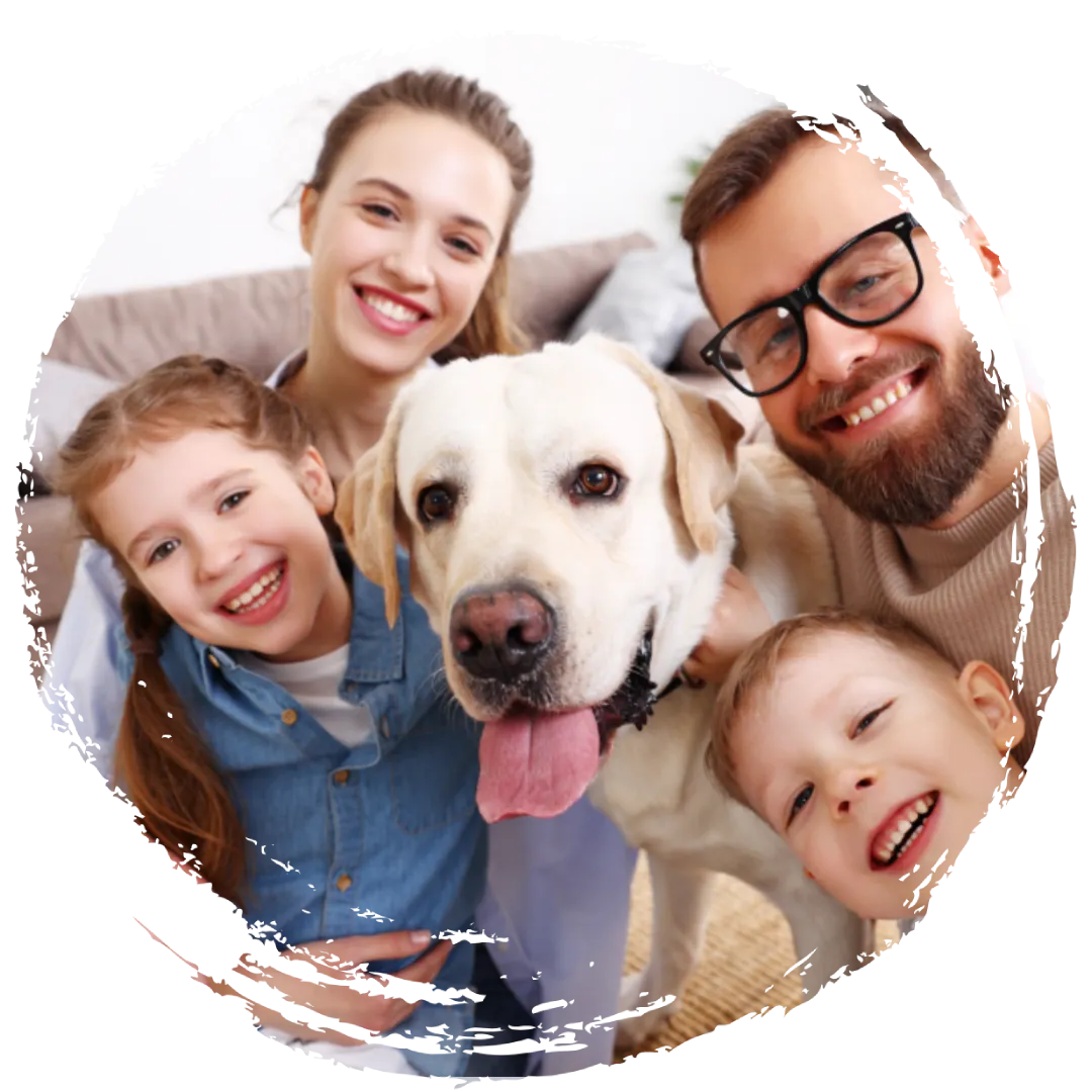 https://rhinowebllc.com/integrated-concierge/wp-content/uploads/2025/02/family-with-dog-integrated-concierge.webp