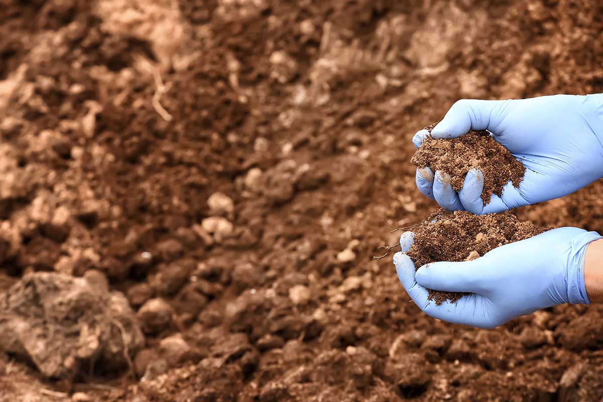 https://rhinowebllc.com/k-and-l-testing/wp-content/uploads/2026/02/soil-analysis.jpg