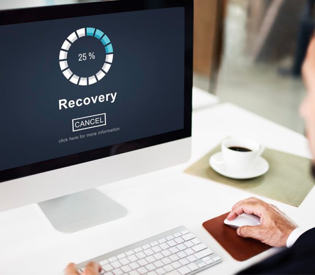 https://rhinowebllc.com/ljones-cfa/wp-content/uploads/2025/02/Data-Recovery-Data-Processing-640x560.jpg