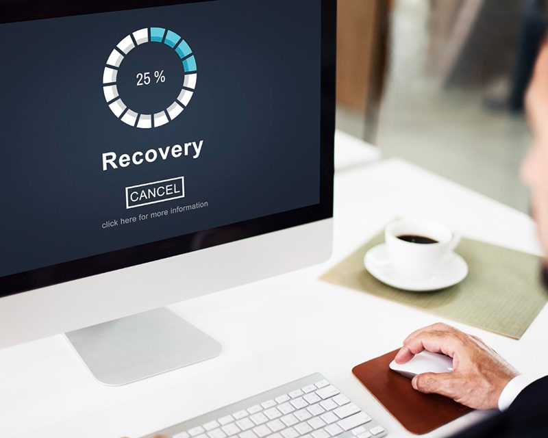 https://rhinowebllc.com/ljones-cfa/wp-content/uploads/2025/02/Data-Recovery-Data-Processing-800x640.jpg