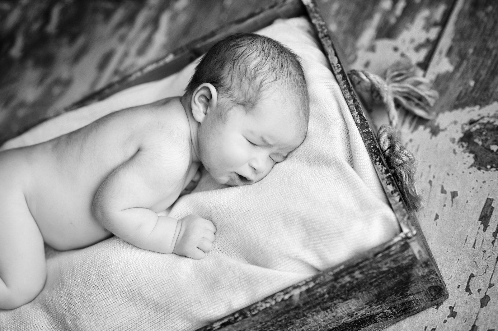 10032 10032
