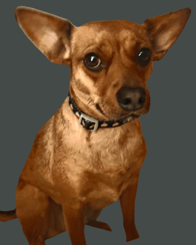 Hi I'm Lily!