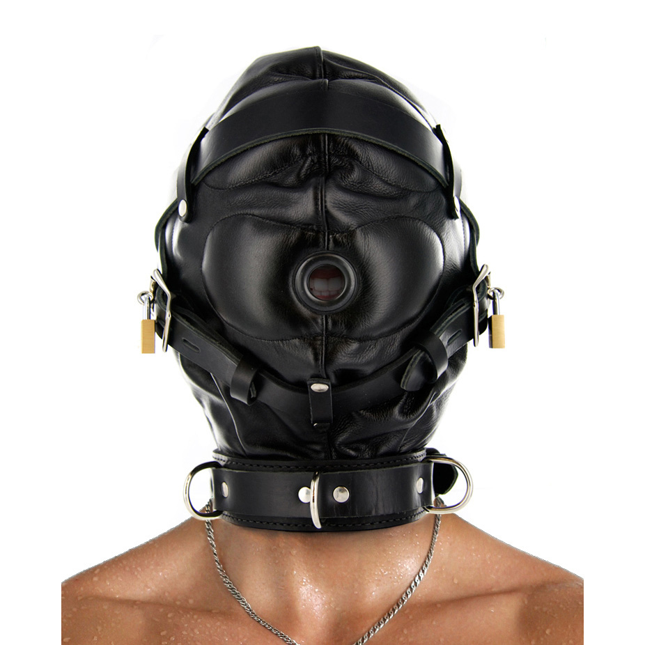 SV560-SenDepHood-Body.jpg