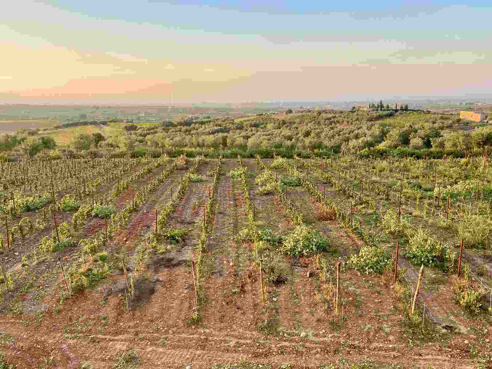 Sicilian Adventures