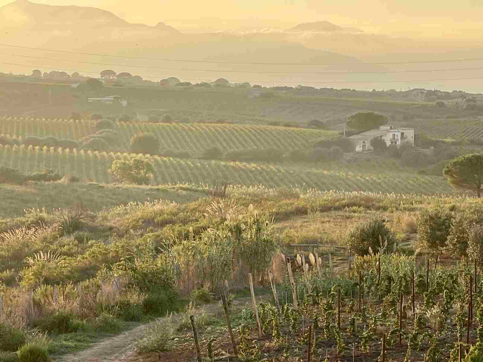 Sicilian Adventures
