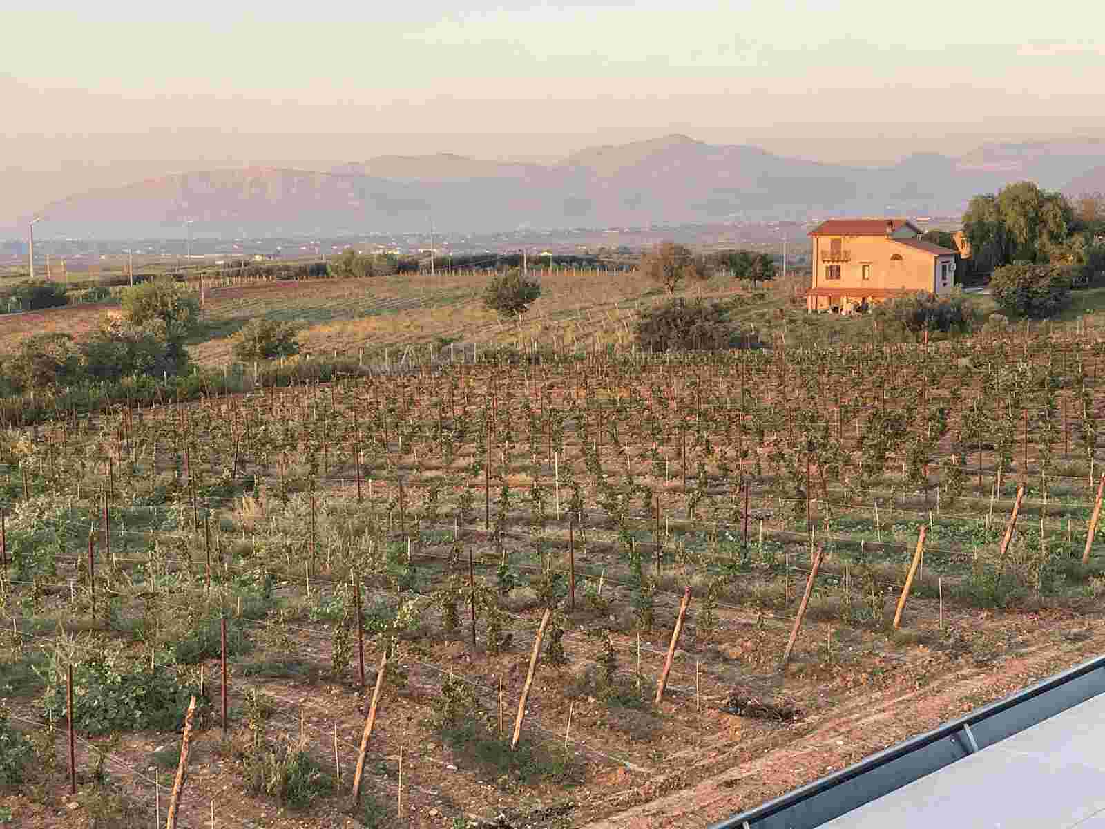 Sicilian Adventures