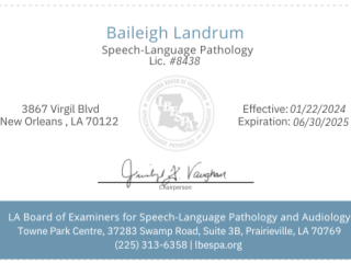 https://rhinowebllc.com/speech-pathology/wp-content/uploads/2024/10/license_LBESPA-320x240.png