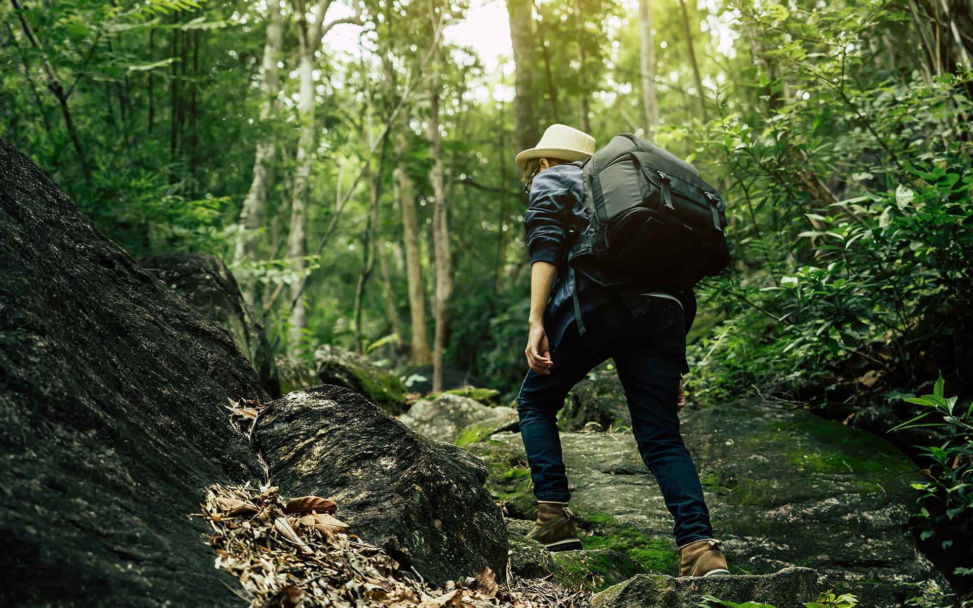 How to save plains and forests