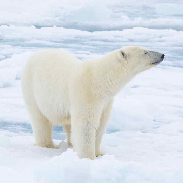 https://rhinowebllc.com/tba-linda-st/wp-content/uploads/2022/03/image_09_home_03-640x640.jpg