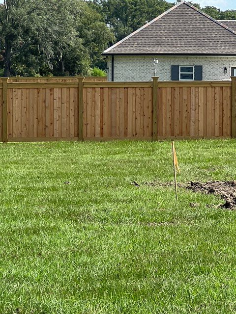 cedar_vertical_11
