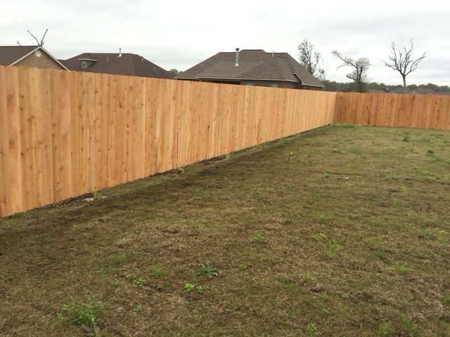 cedar_vertical_17