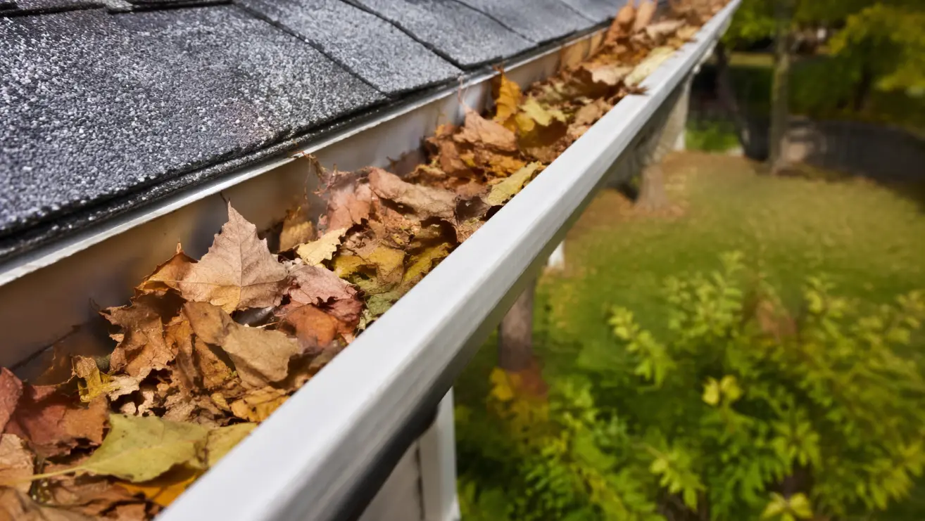 https://rhinowebllc.com/tonys-roofs/wp-content/uploads/2026/04/img-tonys-roof_46.webp