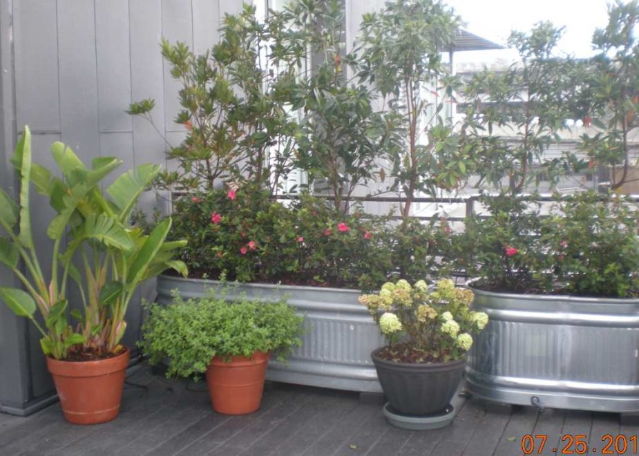 Total Landscape & Irrigation, LLC