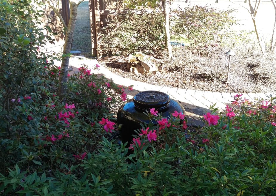 IMAG0324(1)